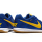 Chuteira Nike SB Gato Futsal